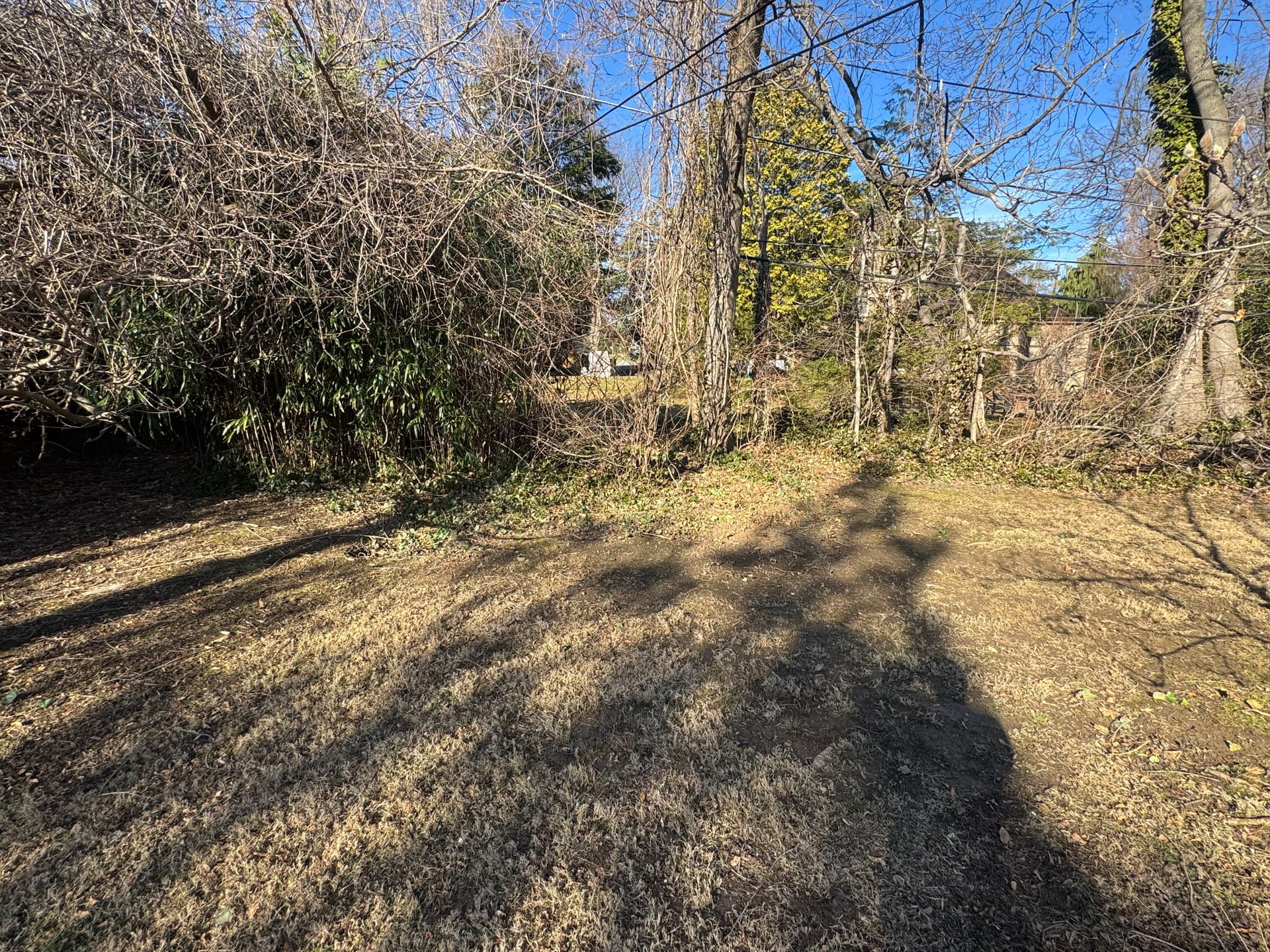 Gallery photos for Clearing the Way to a Fresh Yard: Image #1