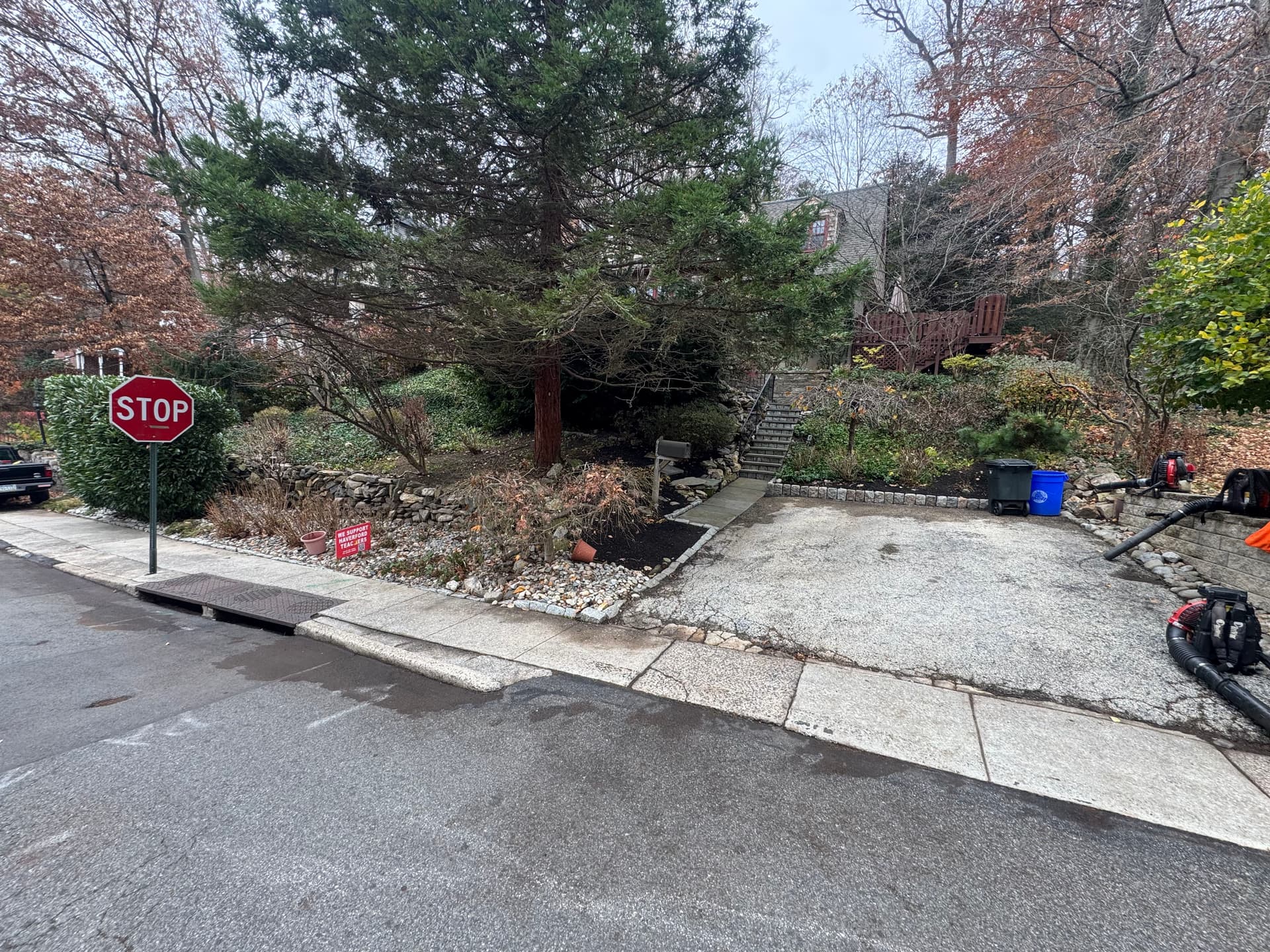 Gallery photos for Leaf Cleanup Service in Havertown: Image #2