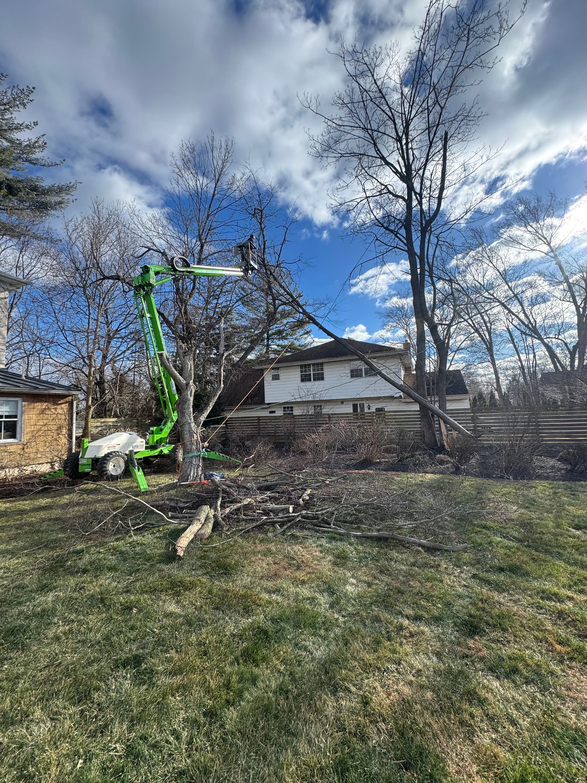 Gallery photos for Expert Storm Response and Tree Removal at Residential Property: Image #1