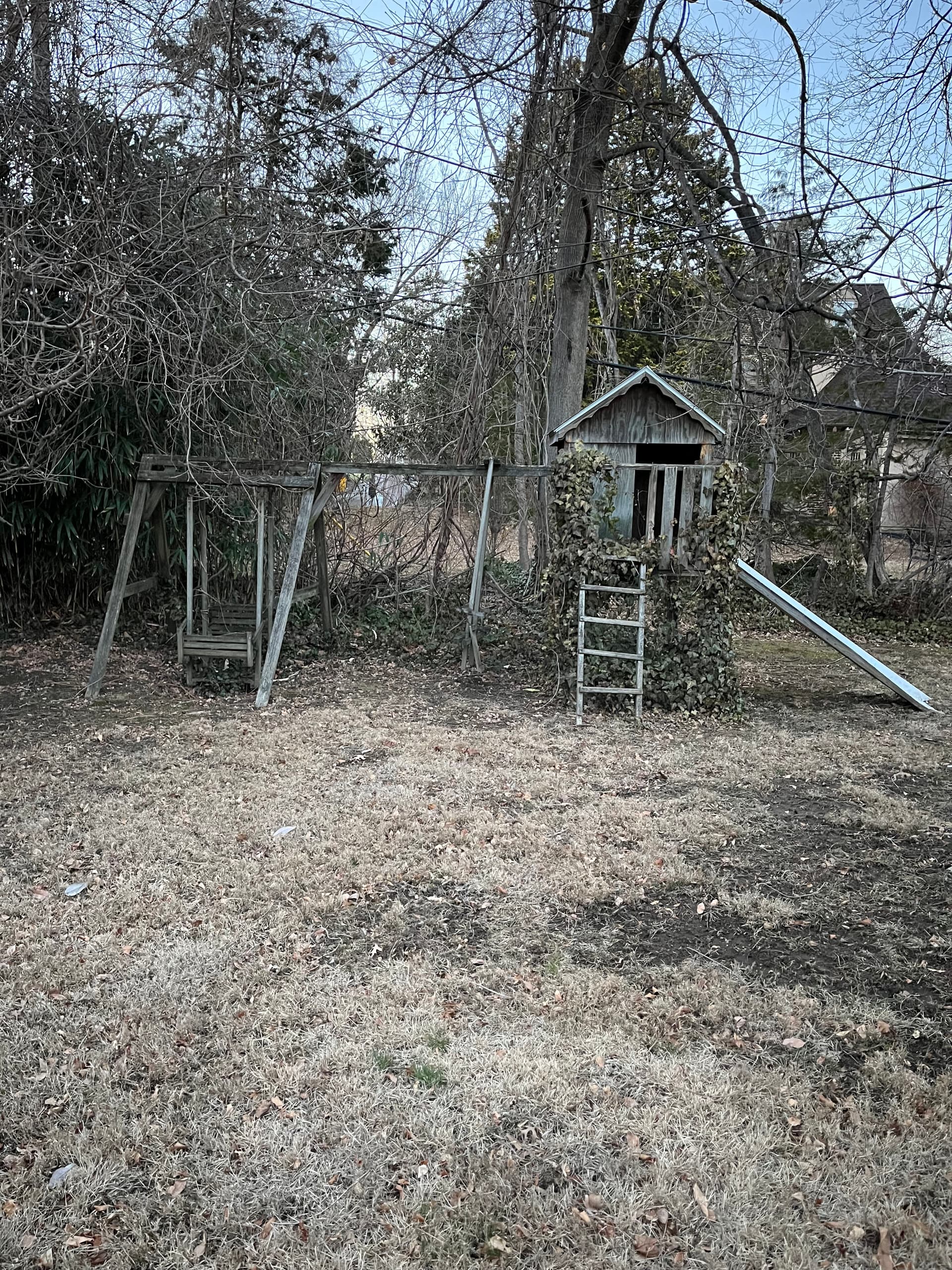 Clearing the Way to a Fresh Yard image