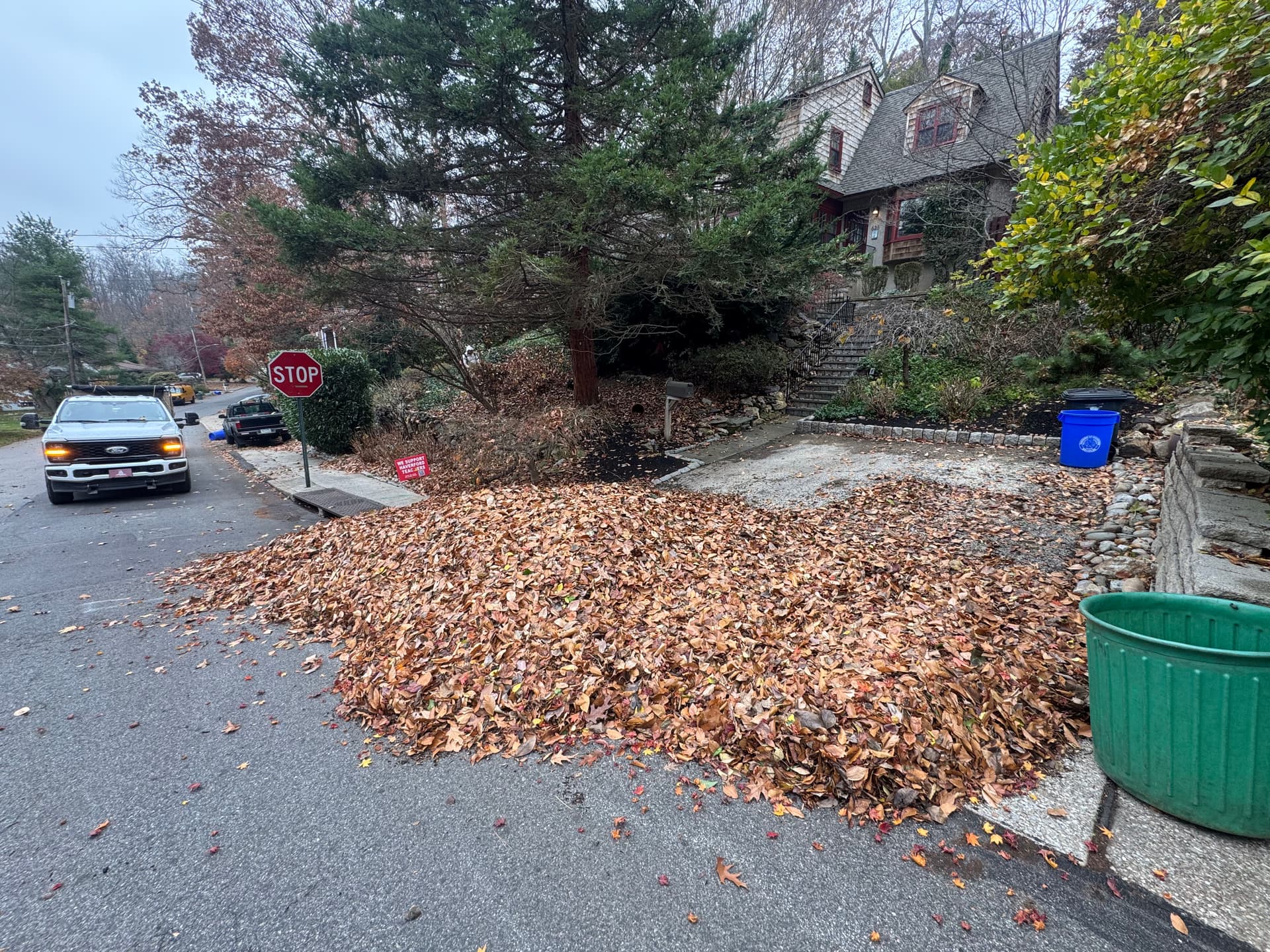 Leaf Cleanup Service in Havertown image