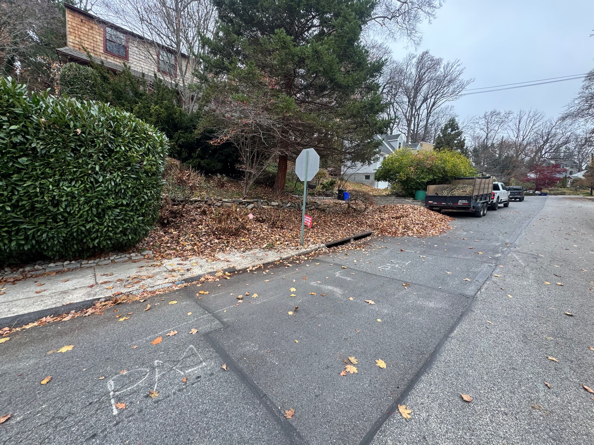 Gallery photos for Leaf Cleanup Service in Havertown: Image #1